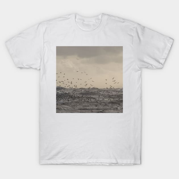 Seagulls over the stormy sea T-Shirt by RoseAesthetic